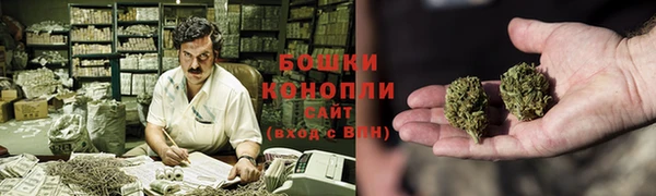 молекула духа Волосово