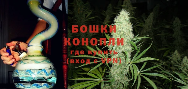 молекула духа Волосово