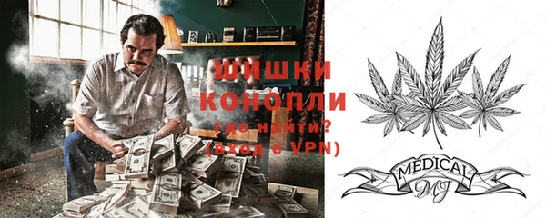 молекула духа Волосово