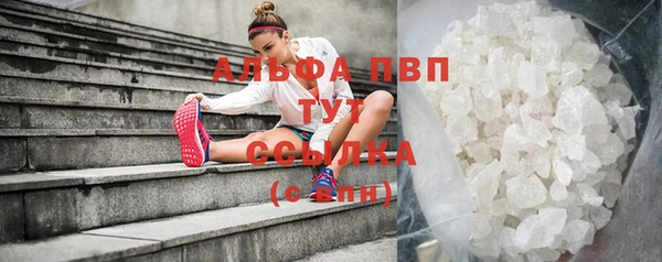 стаф Володарск
