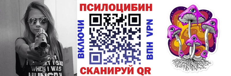 Купить где  Борзя  Псилоцибиновые грибы Psilocybine cubensis 